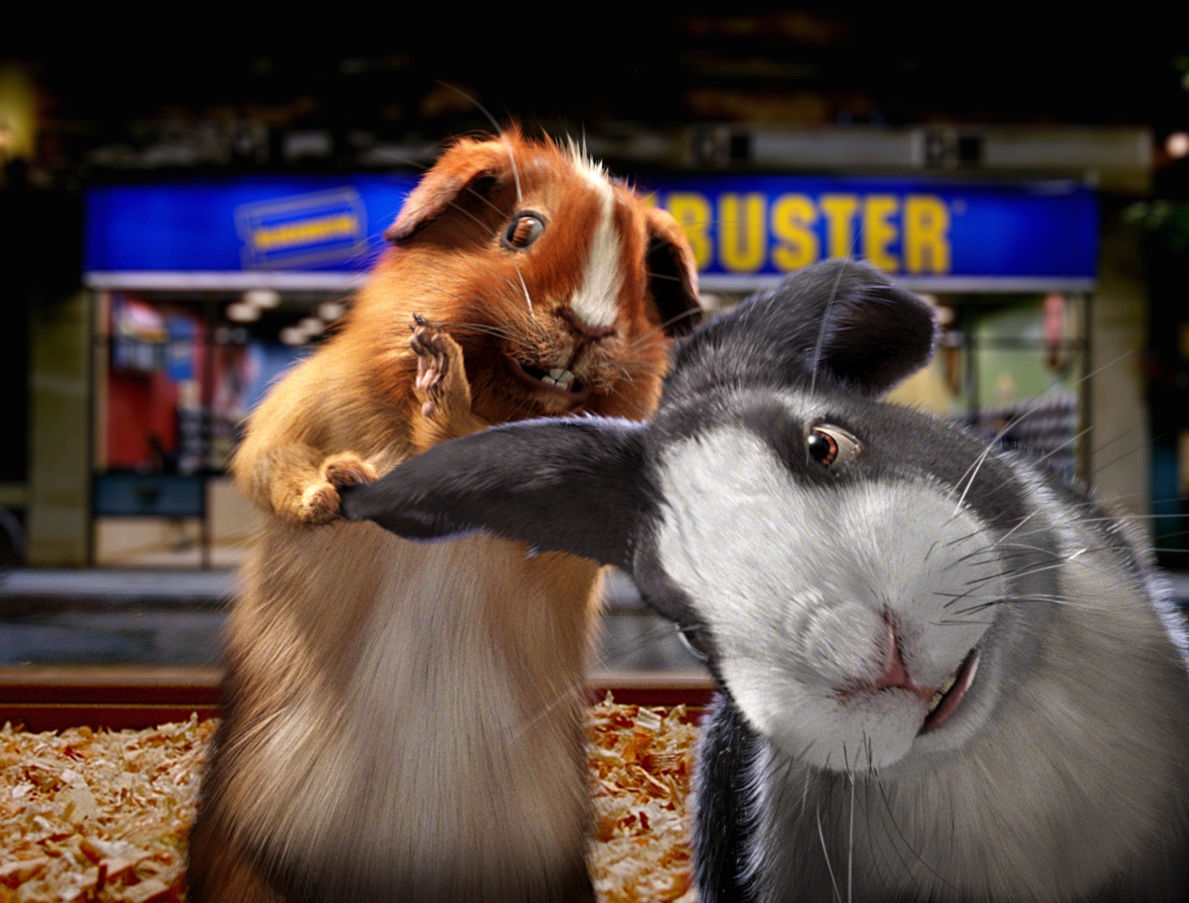 blockbuster-bunny.JPG