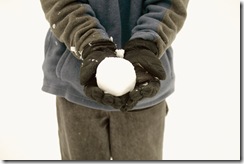 Debt Snowball