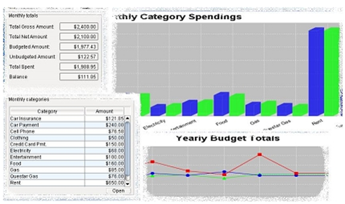 Budget Ace budgeting software