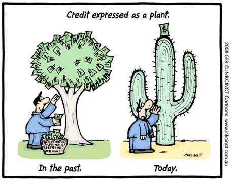 Credit cactus