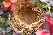 Thumbnail image for Boomerang Kids – How to Handle Them Returning To The Nest